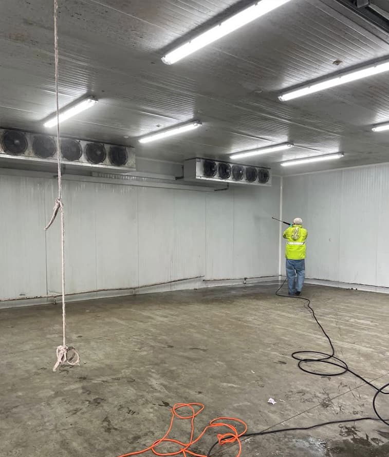 Limpieza y recuperación tras incendios en Santiago